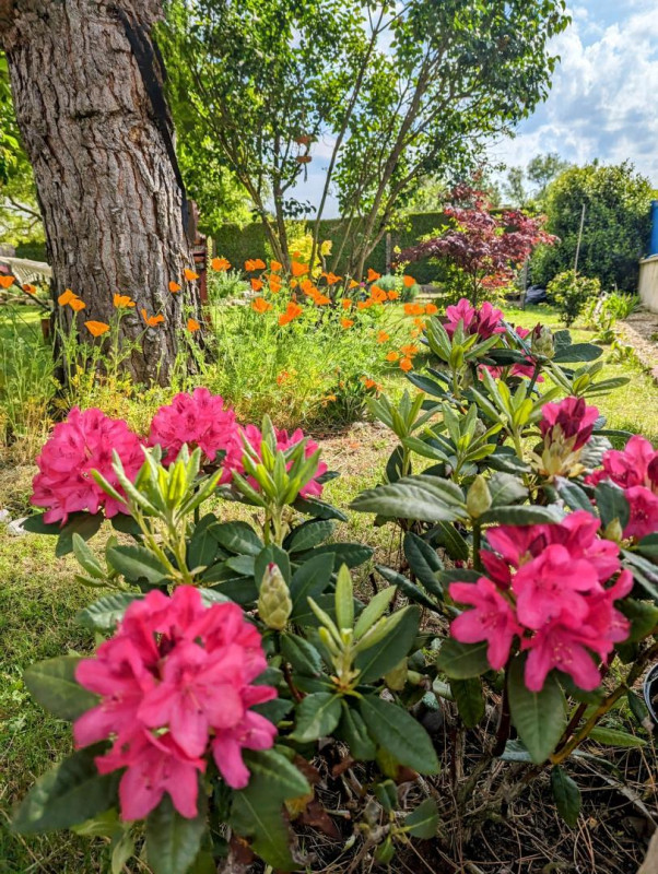 photo 39
