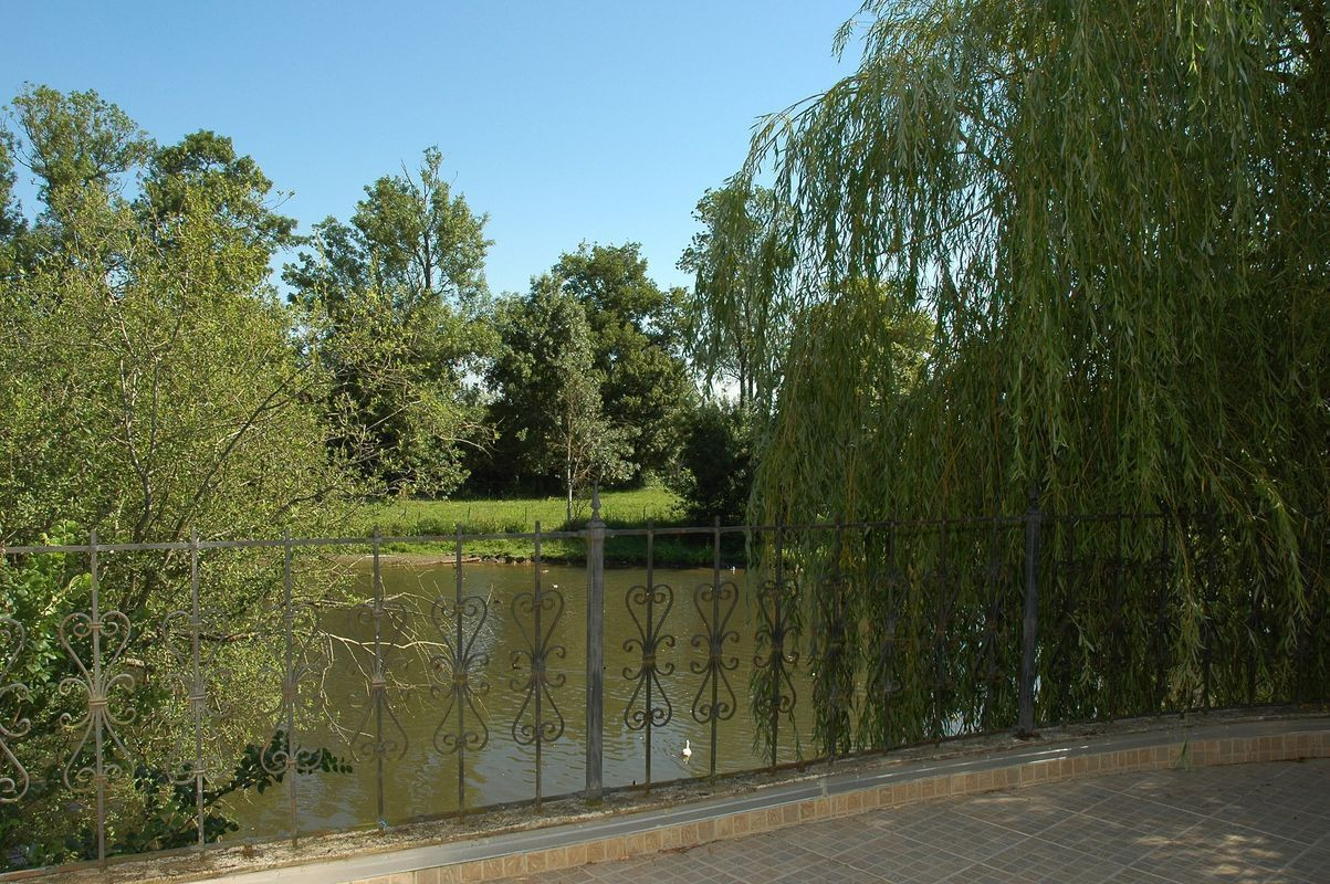 photo 34