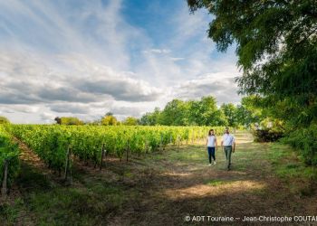 VALLEE DU LOIR : FLANERIES ENTRE VIGNES, HISTOIRE ET MUSIQUE&nbsp;()  - VALLEE DU LOIR : FLANERIES ENTRE VIGNES, HISTOIRE ET MUSIQUE - jean-christophe-coutand_2032-12-31_medium
