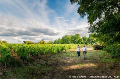 BON CADEAU - VALL&Eacute;E DU LOIR : FL&Acirc;NERIES ENTRE VIGNES, HISTOIRE ET MUSIQUE&nbsp;(PCHAMBR35)  - BON CADEAU - VALL&Eacute;E DU LOIR : FL&Acirc;NERIES ENTRE VIGNES, HISTOIRE ET MUSIQUE