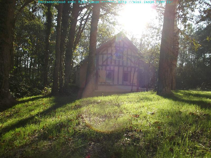 photo 0